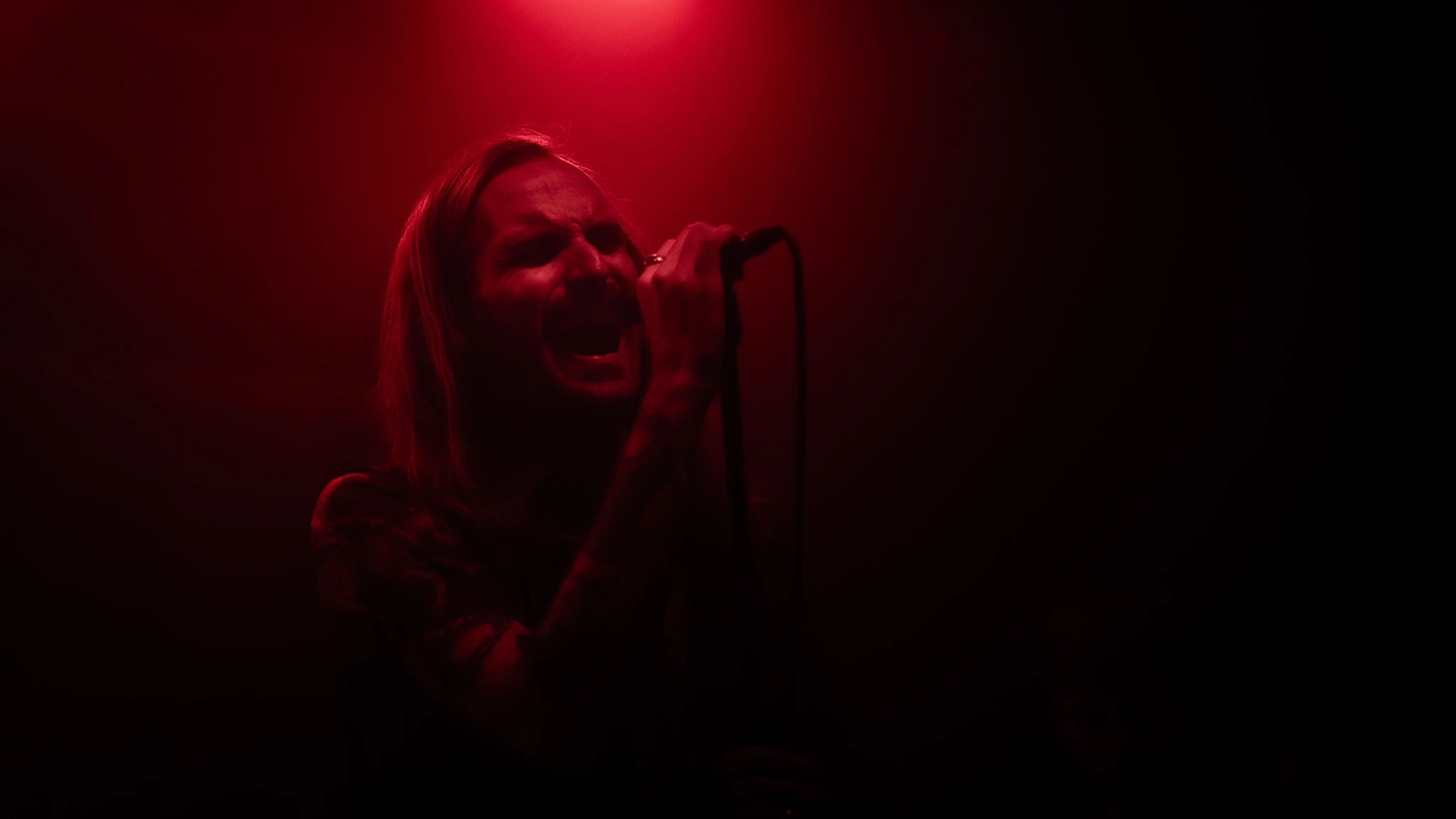 Bild, Kramladen Re-Re-Re-Opening with LUPUS and Hazy Dawgs