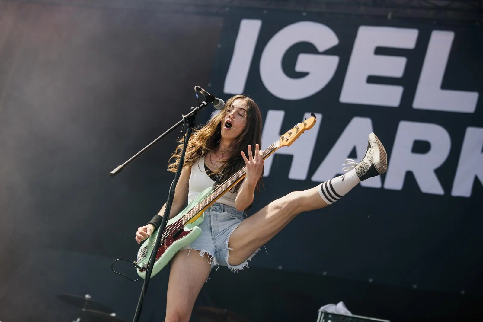 Bild, Day 3 - Igel Vs Shark