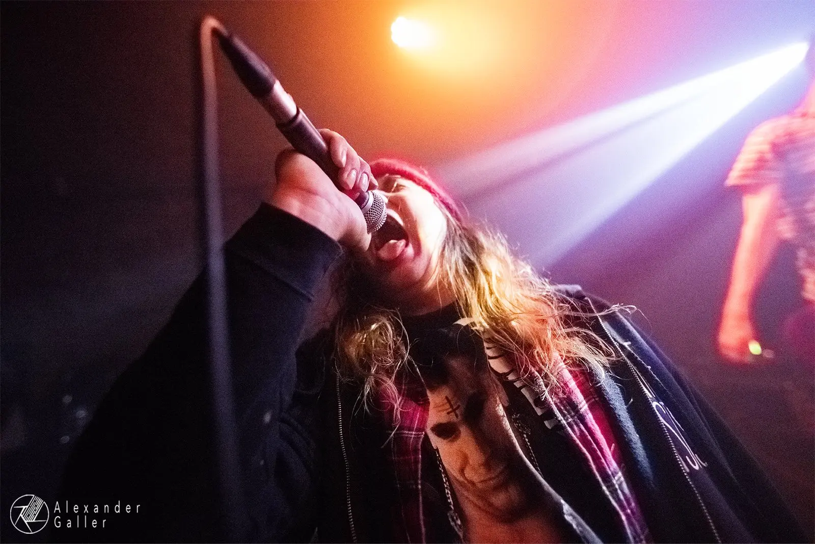 Bild, Punk's Not Dead Vol1 with Chaos Junkies, DirtyWink, Rebell Bagatell