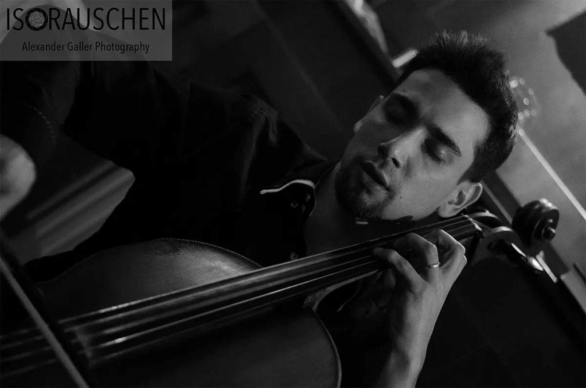 Teddy Bear Cove @Cafe Lassa Bild, Teddy Bear Cove @Cafe Lassa