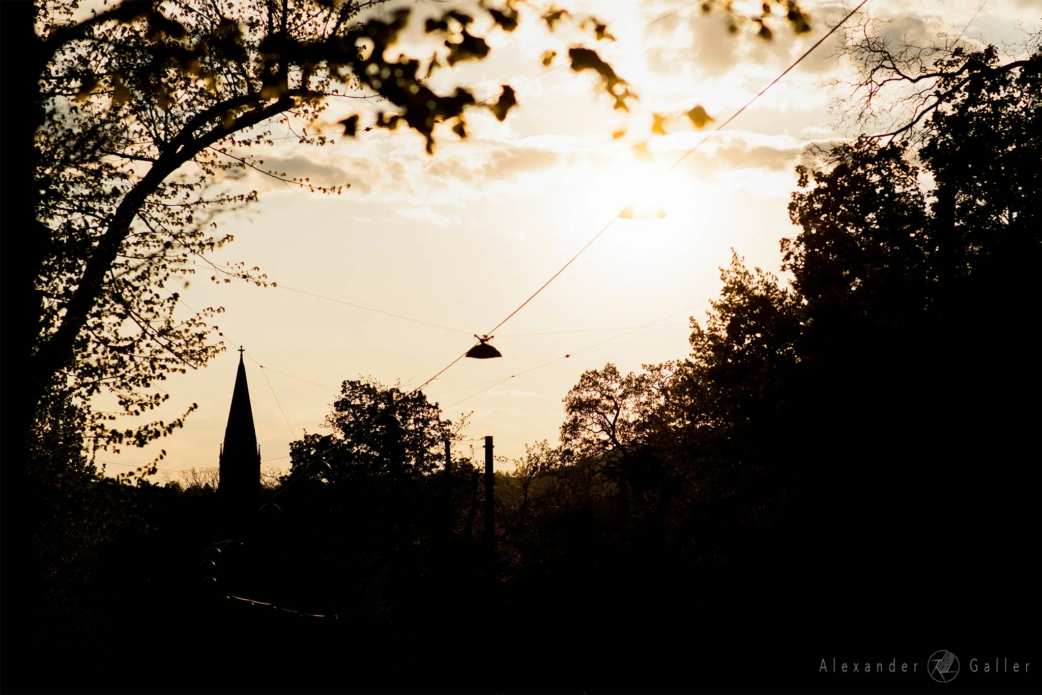 Bild, Alex, Silhouette