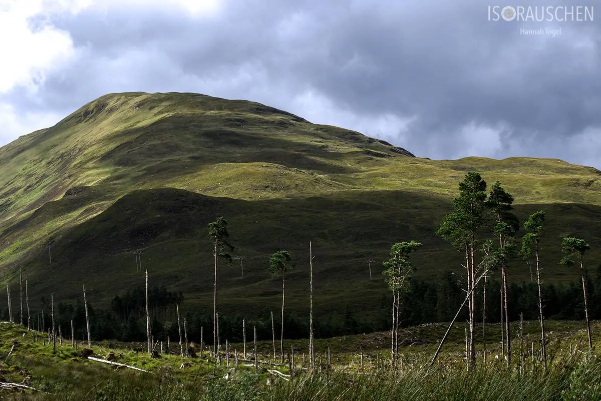 Bild, West Highland Way 2017