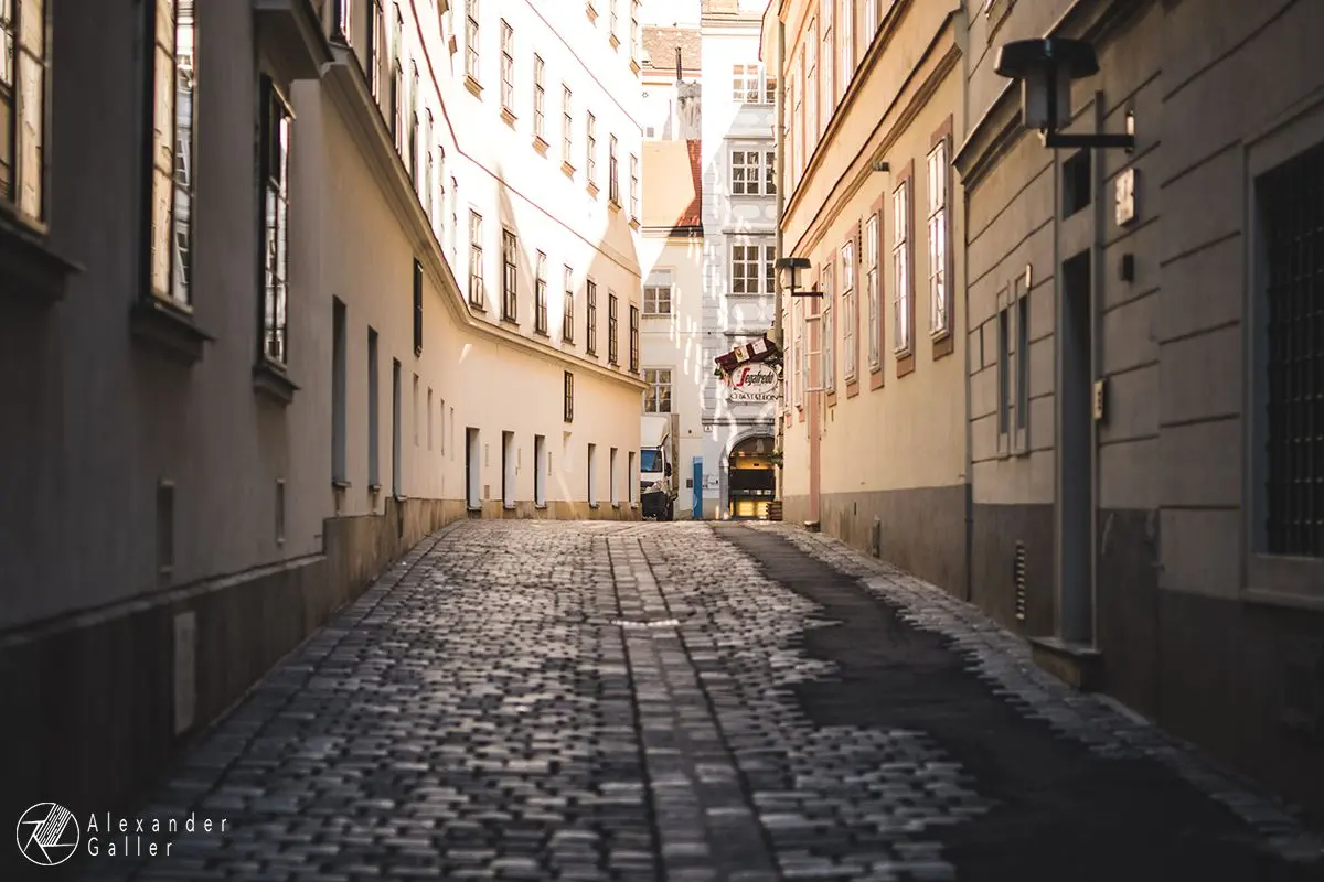 Bild, Wien entdecken VII