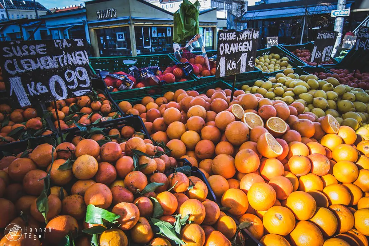 Bild, Wien entdecken VII