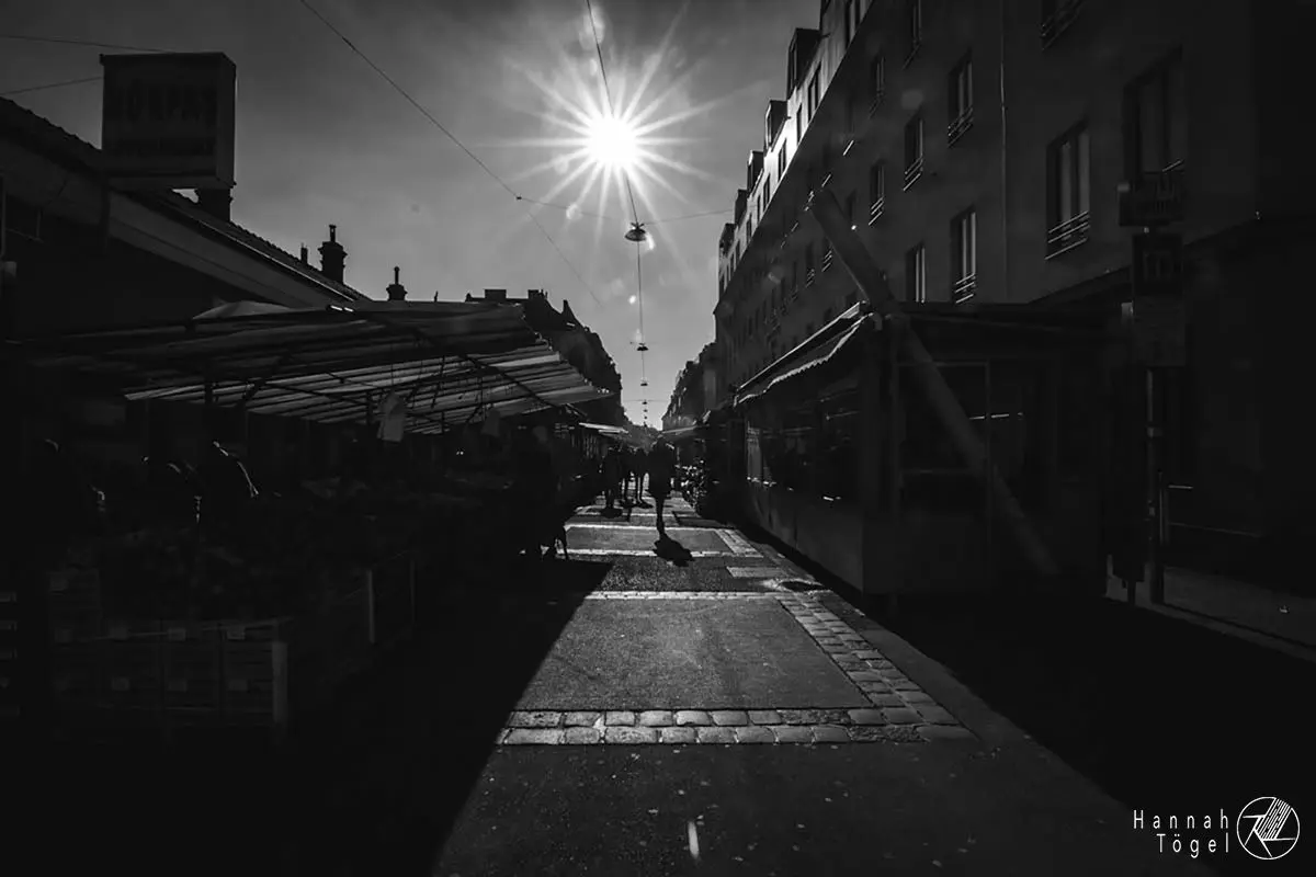 Bild, Wien entdecken VII