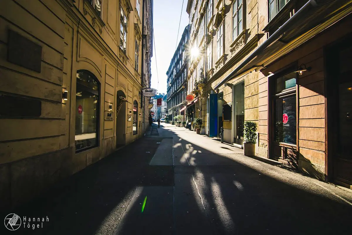 Bild, Wien entdecken VII