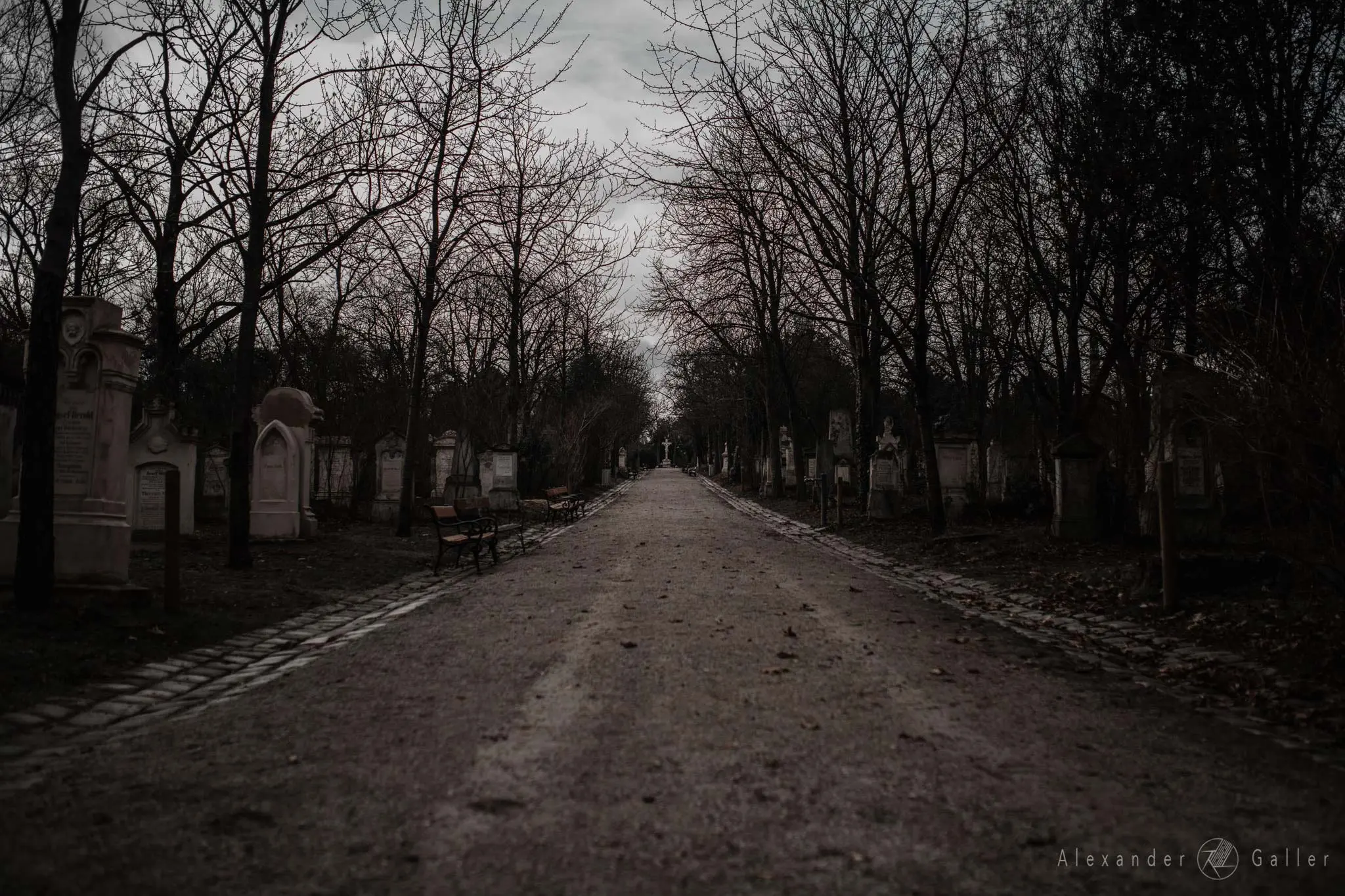 Bild, Wien entdecken X