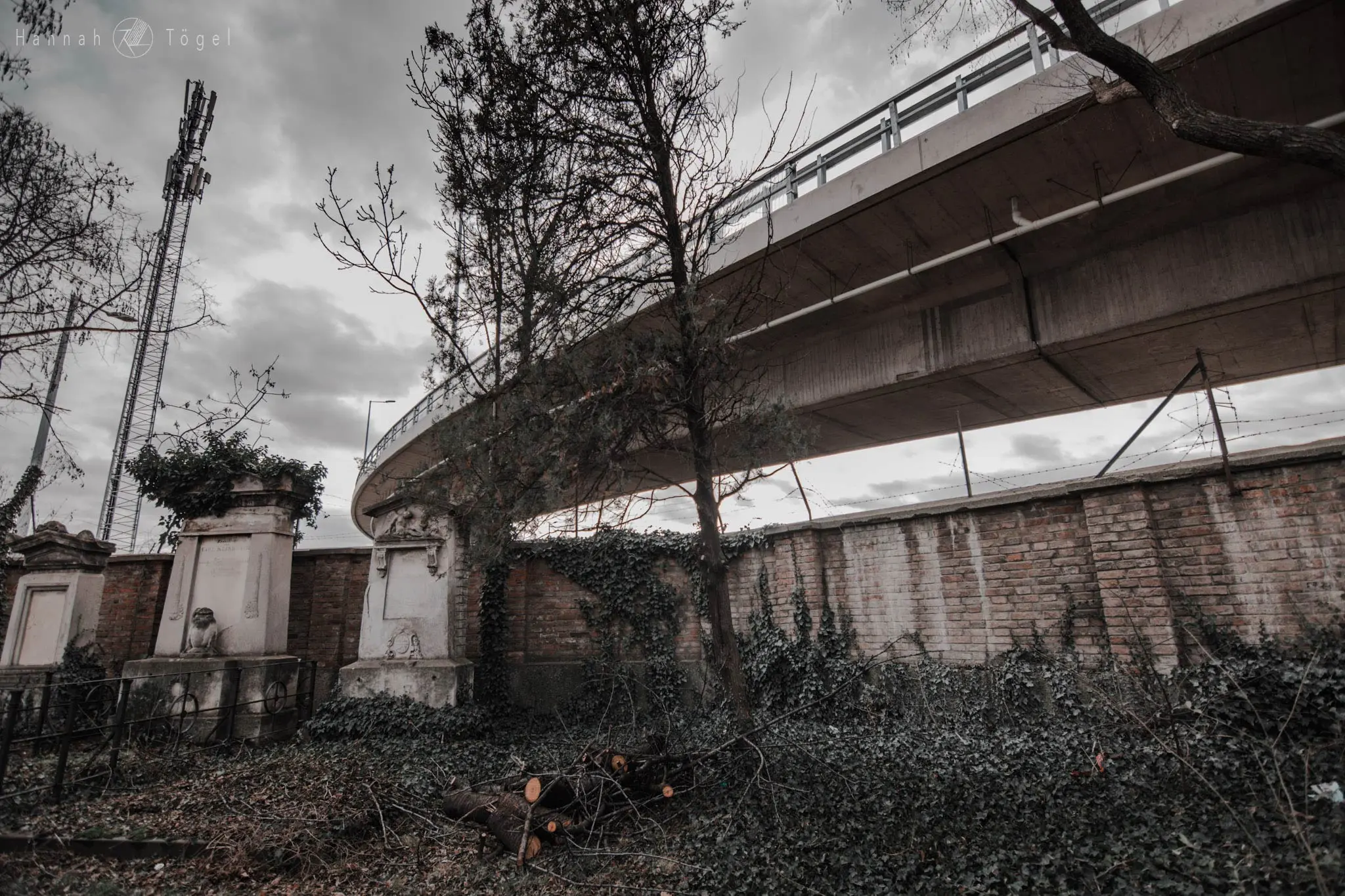 Bild, Wien entdecken X