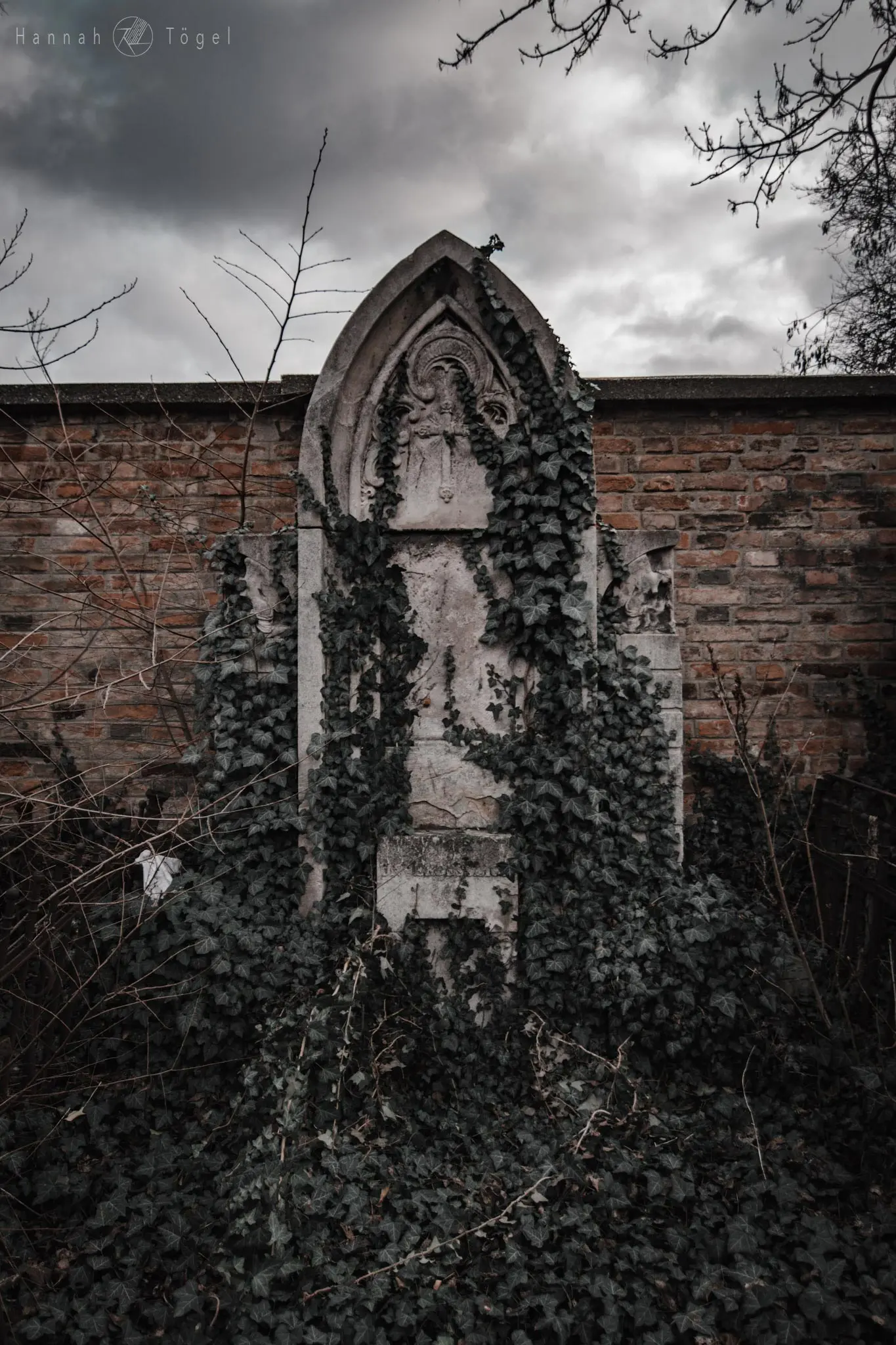 Bild, Wien entdecken X