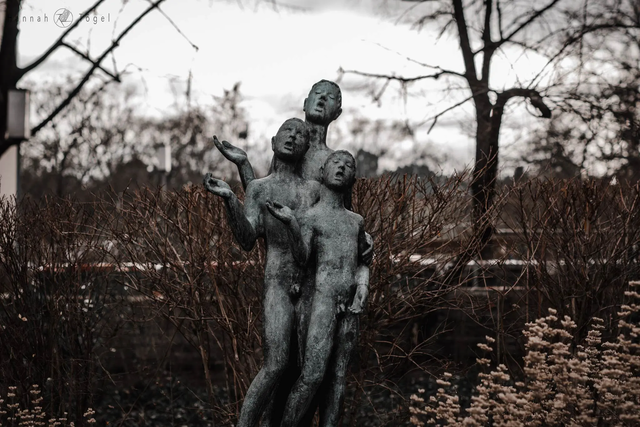 Bild, Wien entdecken X