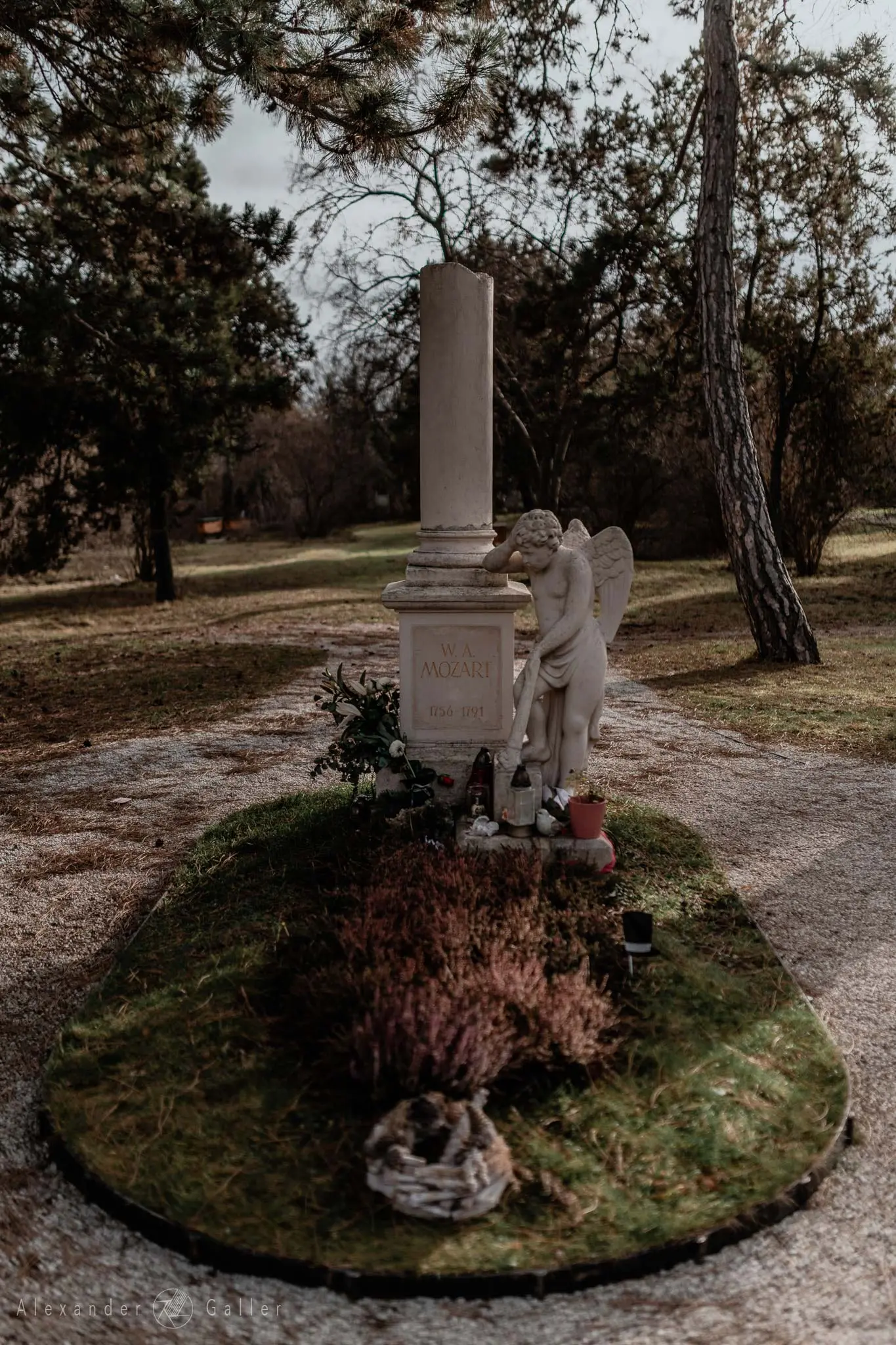 Bild, Wien entdecken X