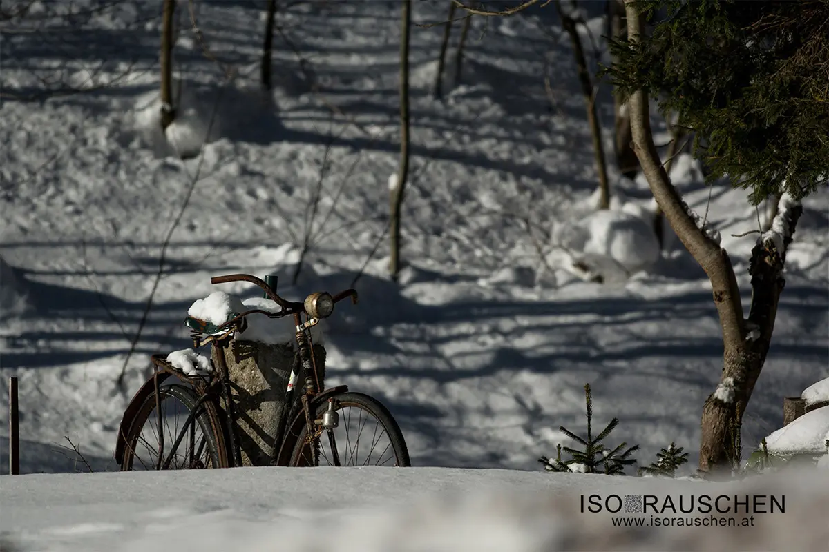 Bild, Winterwunderland