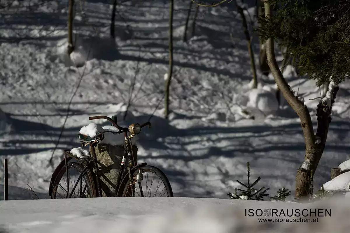 Bild, Winterwunderland