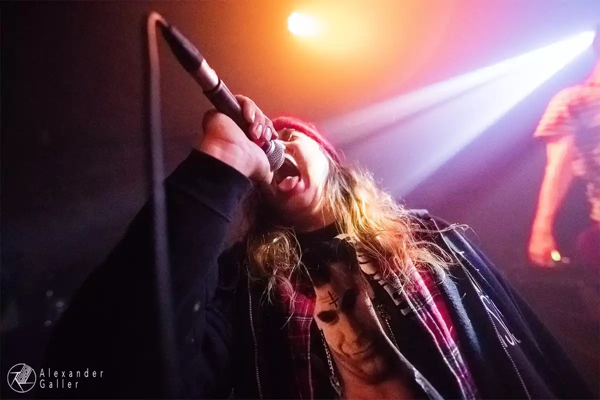 Bild, Punk's Not Dead Vol1 with Chaos Junkies, DirtyWink, Rebell Bagatell