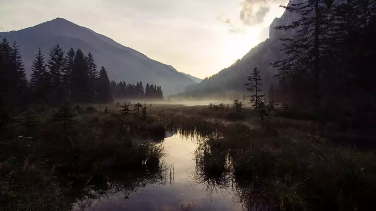 Bild, Titelbild zu Amazing Places V