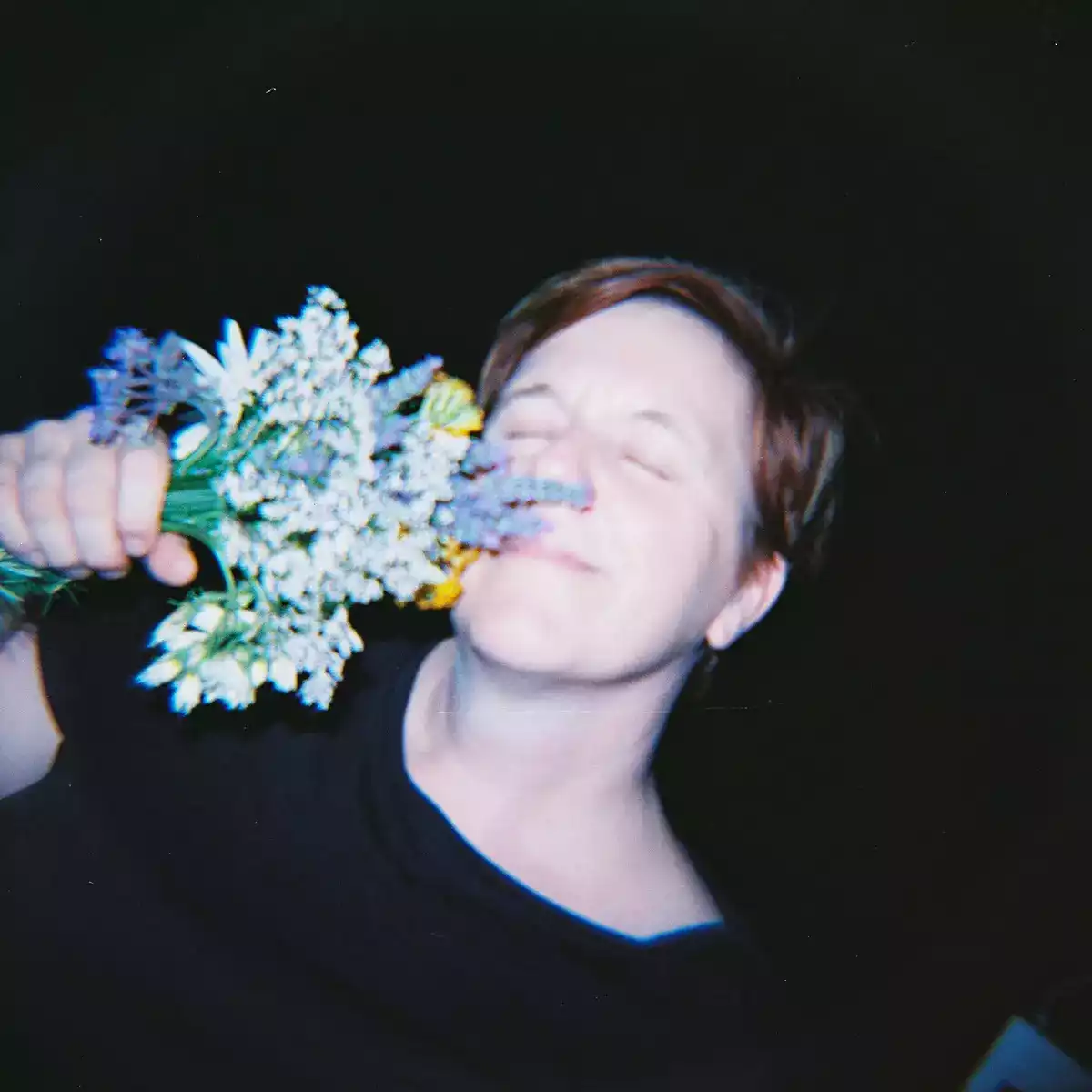 Lomography Bild, Lomography