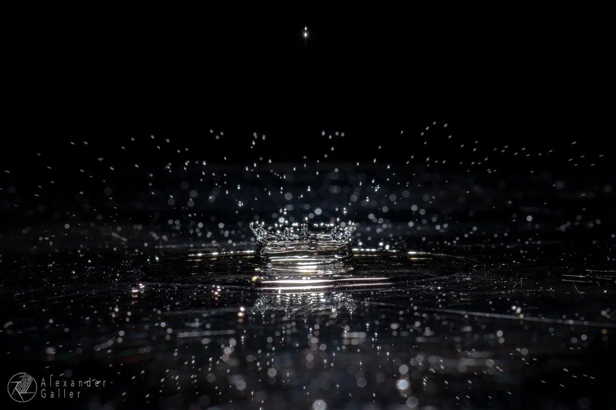 Bild, A blog post a day XVII - Frozen drops