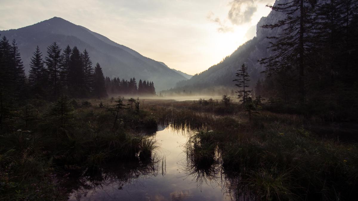 Bild, Amazing Places V