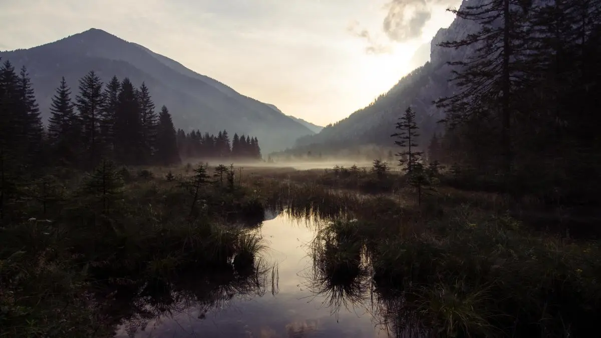 Bild, Titelbild zu Amazing Places V