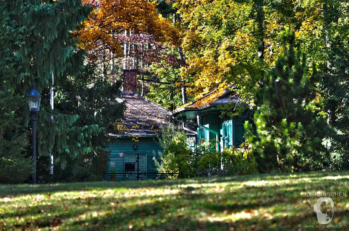 Bild, Herbst im Türkenschanzpark