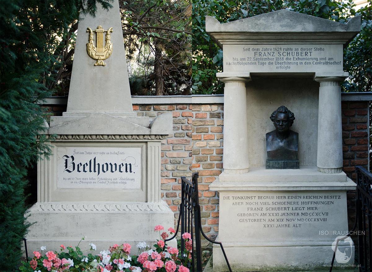 Bild, Wien entdecken III