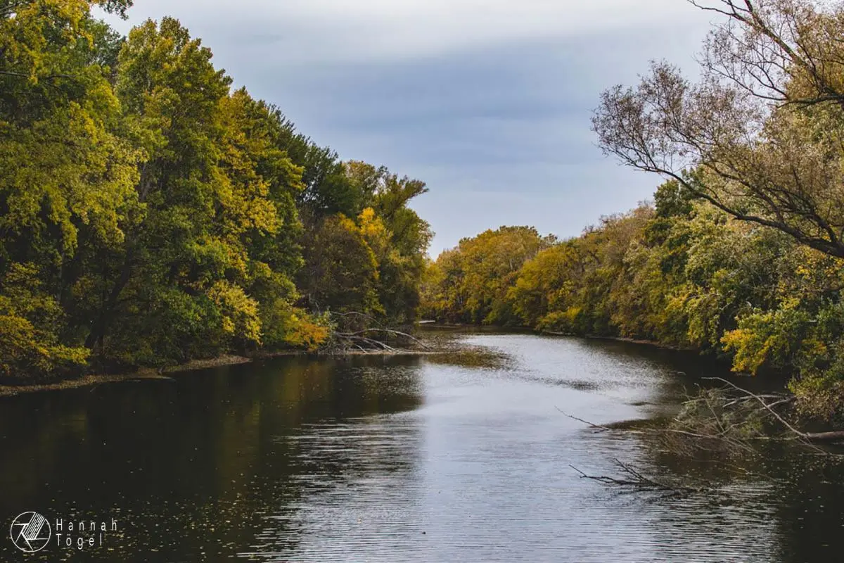 Bild, Wien entdecken VI