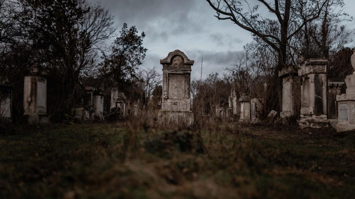 Bild, Wien entdecken X