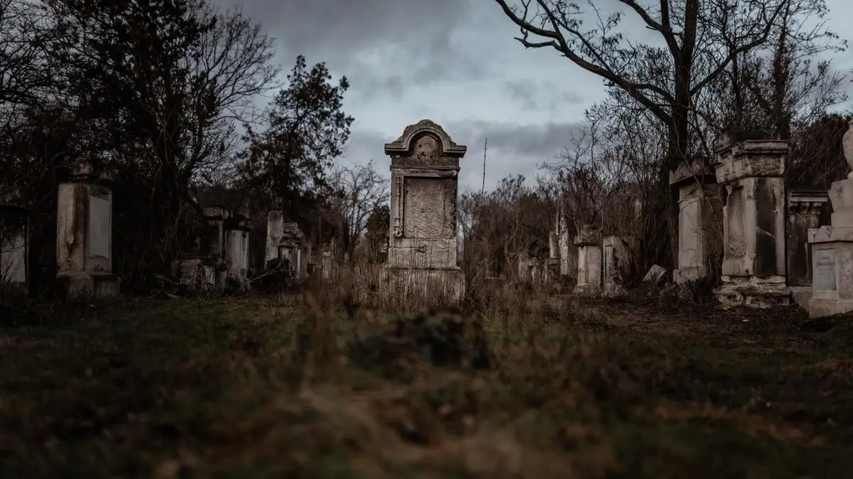 Bild, Wien entdecken X