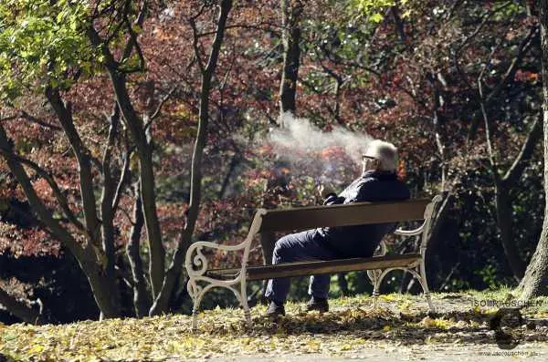 Bild von Herbst im T&uuml;rkenschanzpark
