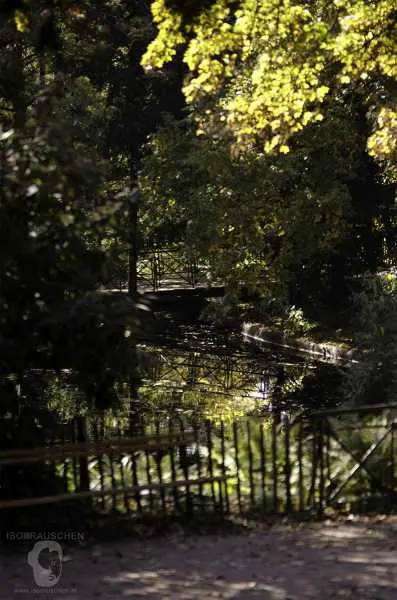 Bild von Herbst im T&uuml;rkenschanzpark