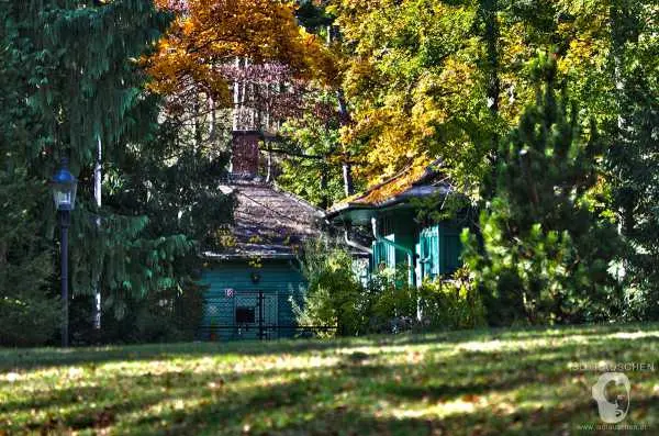 Bild von Herbst im T&uuml;rkenschanzpark