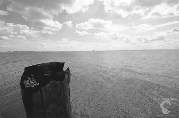 Bild von Deleted Pictures