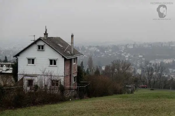 Bild von Sunday walks I