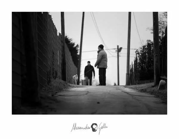 Bild von Sunday walks I