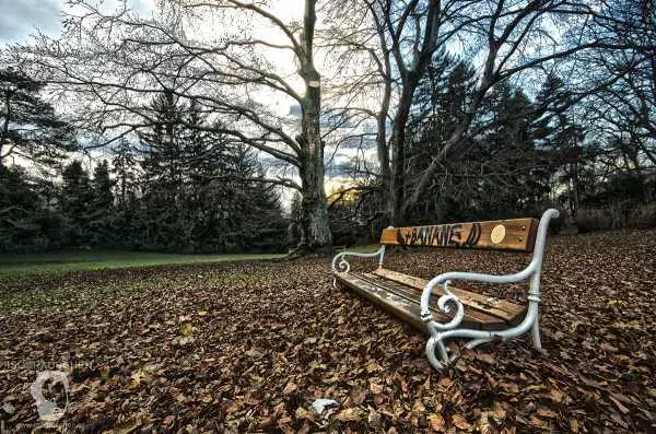 Bild von Sunday walks I