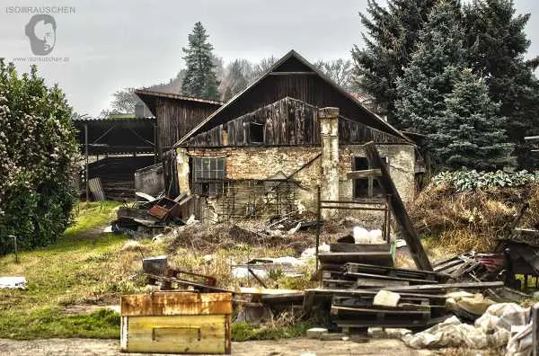 Bild von Sunday walks I