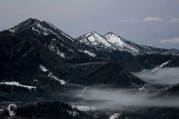 Bild von Frohe Weihnachten!