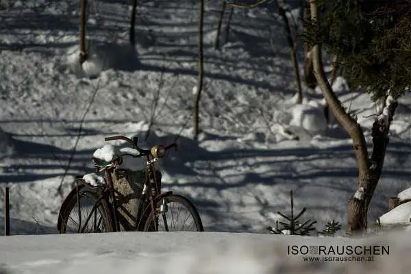 Bild von Winterwunderland