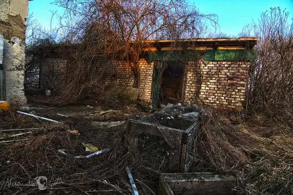 Bild von Lost Place - Alte Fabrik