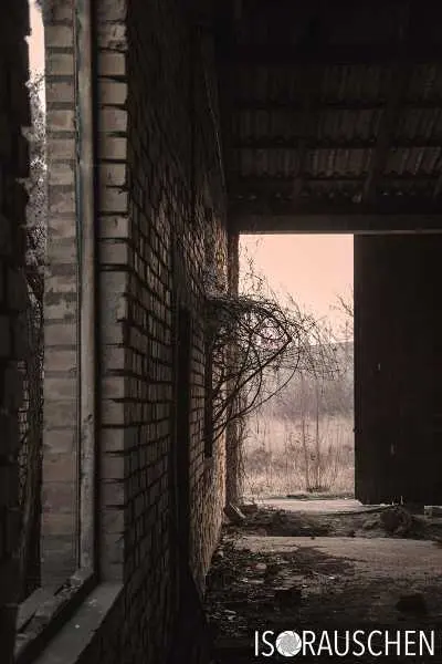 Bild von Lost Place - Alte Fabrik