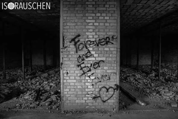 Bild von Lost Place - Alte Fabrik