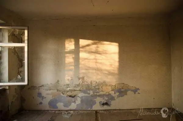 Bild von Lost Place - Alte Fabrik