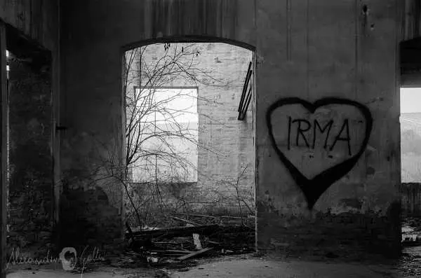Bild von Lost Place - Alte Fabrik