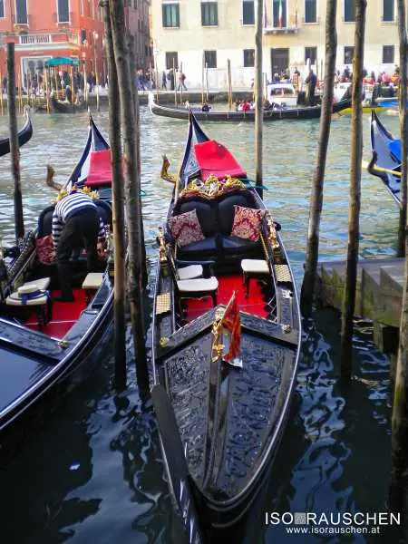 Bild von Karneval in Venedig