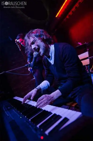 Bild von David Holwad & Band
