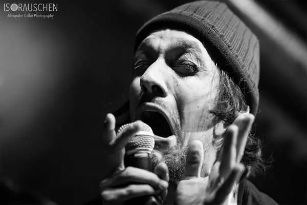 Bild von David Holwad & Band