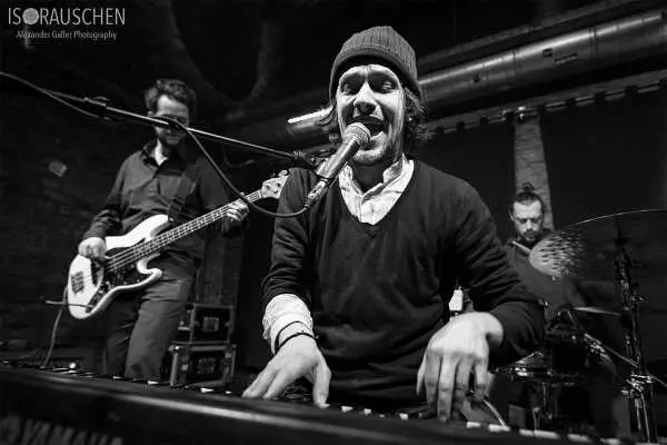 Bild von David Holwad & Band