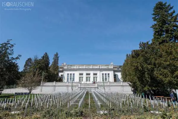 Bild von Wien entdecken V