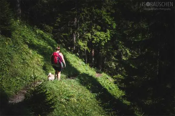Bild von Amazing Places II