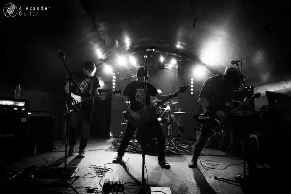 Bild von Fallen Up at Weberknecht - Interview, Reportage, Live